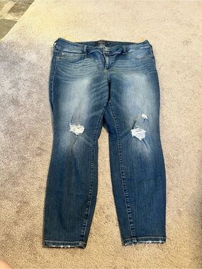 Torrid Premium Distressed Mid-Wash Jeans